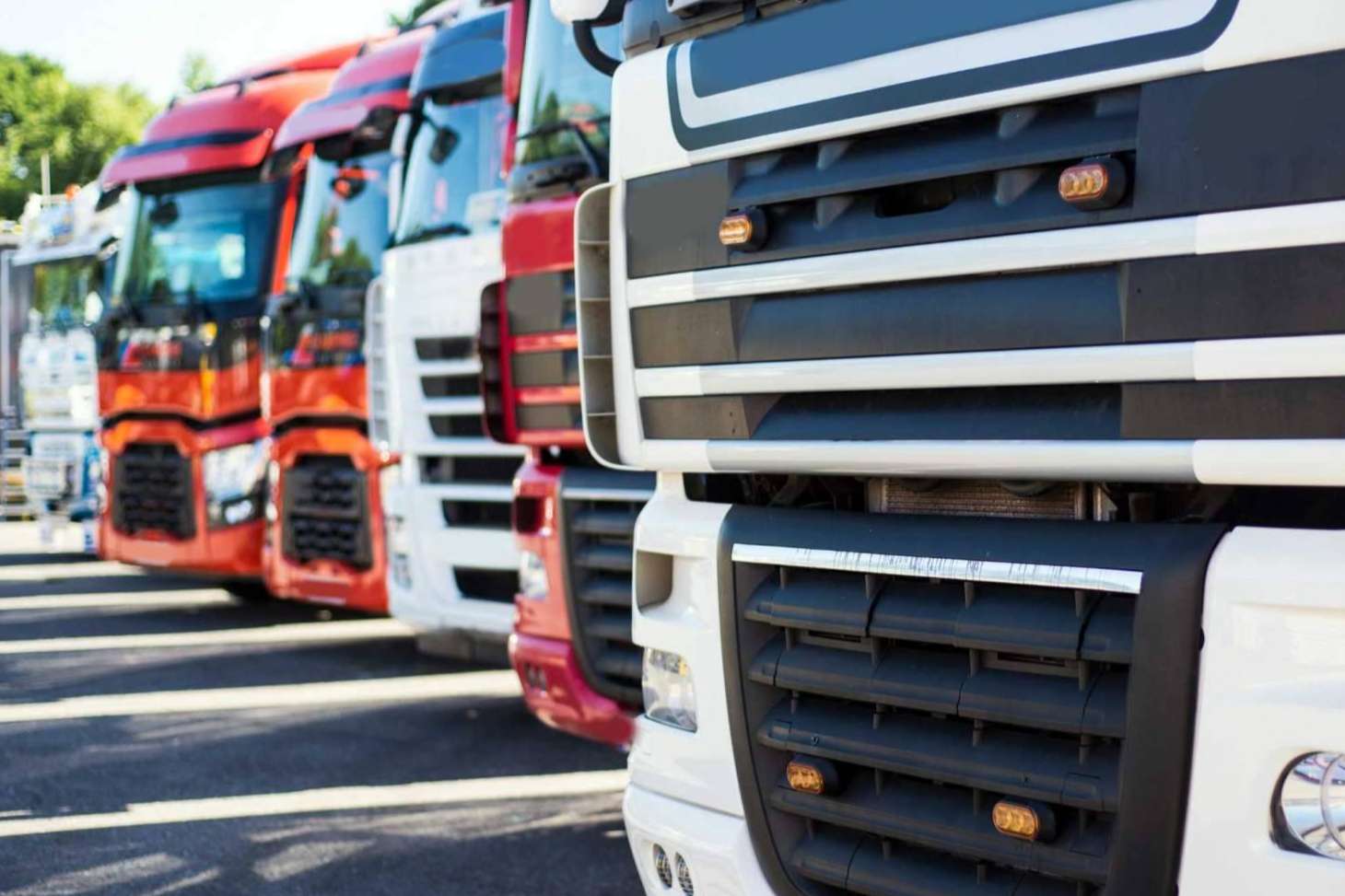 Información y recursos esenciales para el transporte autónomo con Autónomos en Ruta