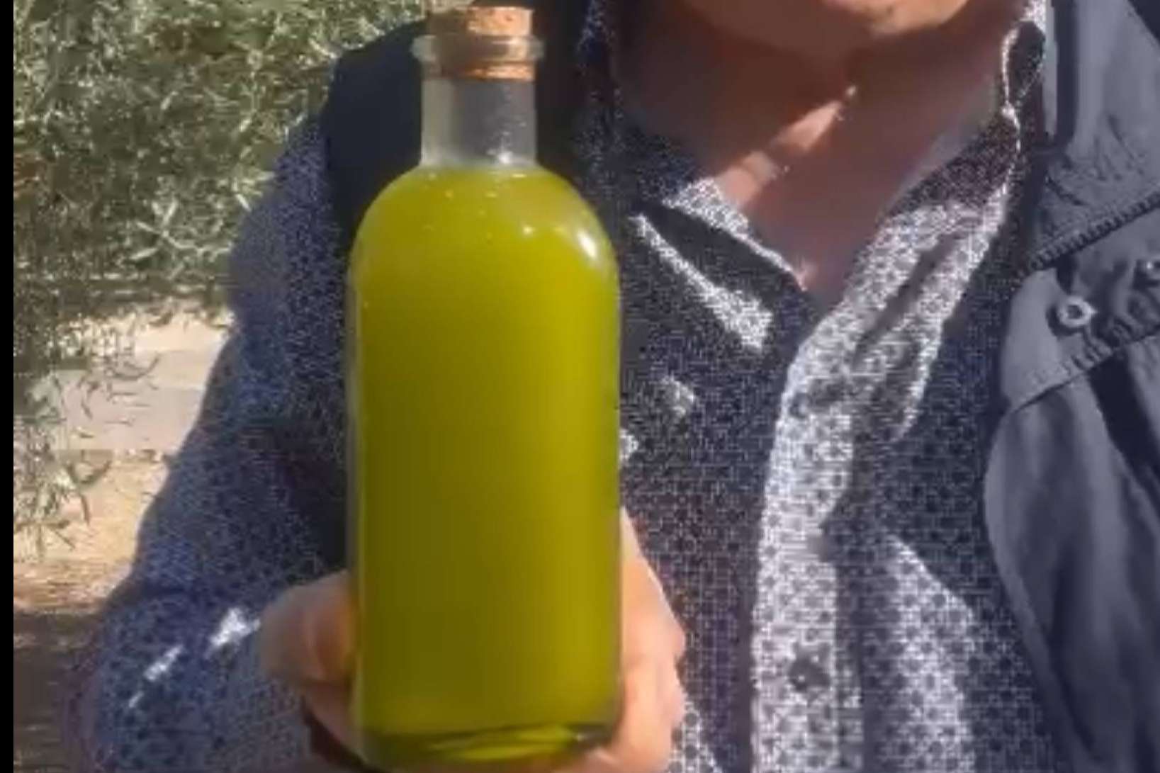 Tradición, excelencia y sabor; así se cultiva el aceite de oliva gourmet de Tercio de las Torres