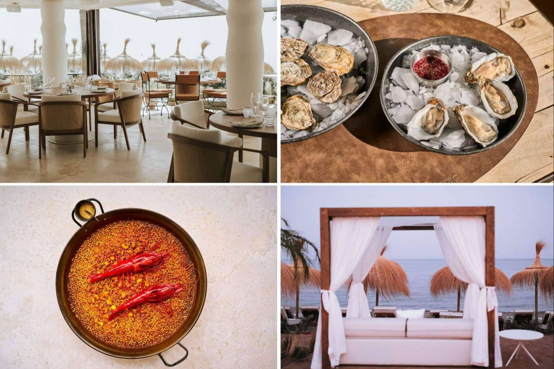 Nueva temporada, mismo paraíso; Barbillón Marbella sube el listón de la gastronomía junto al mar