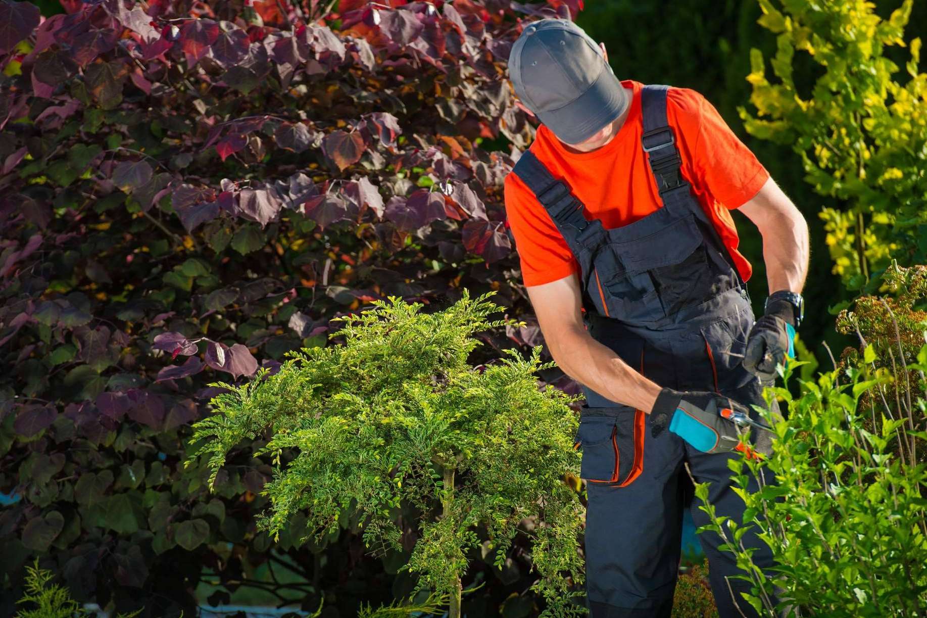 Redescubriendo el valor de los espacios verdes; servicios de jardinería en Barcelona