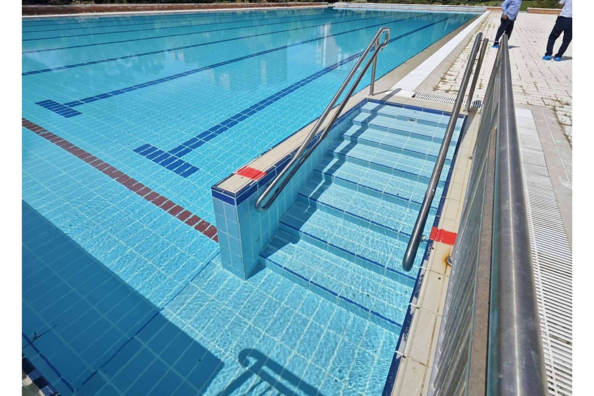 POOL TIGER EUROPE revoluciona el tratamiento de piscinas con reducción del cloro hasta un 90%