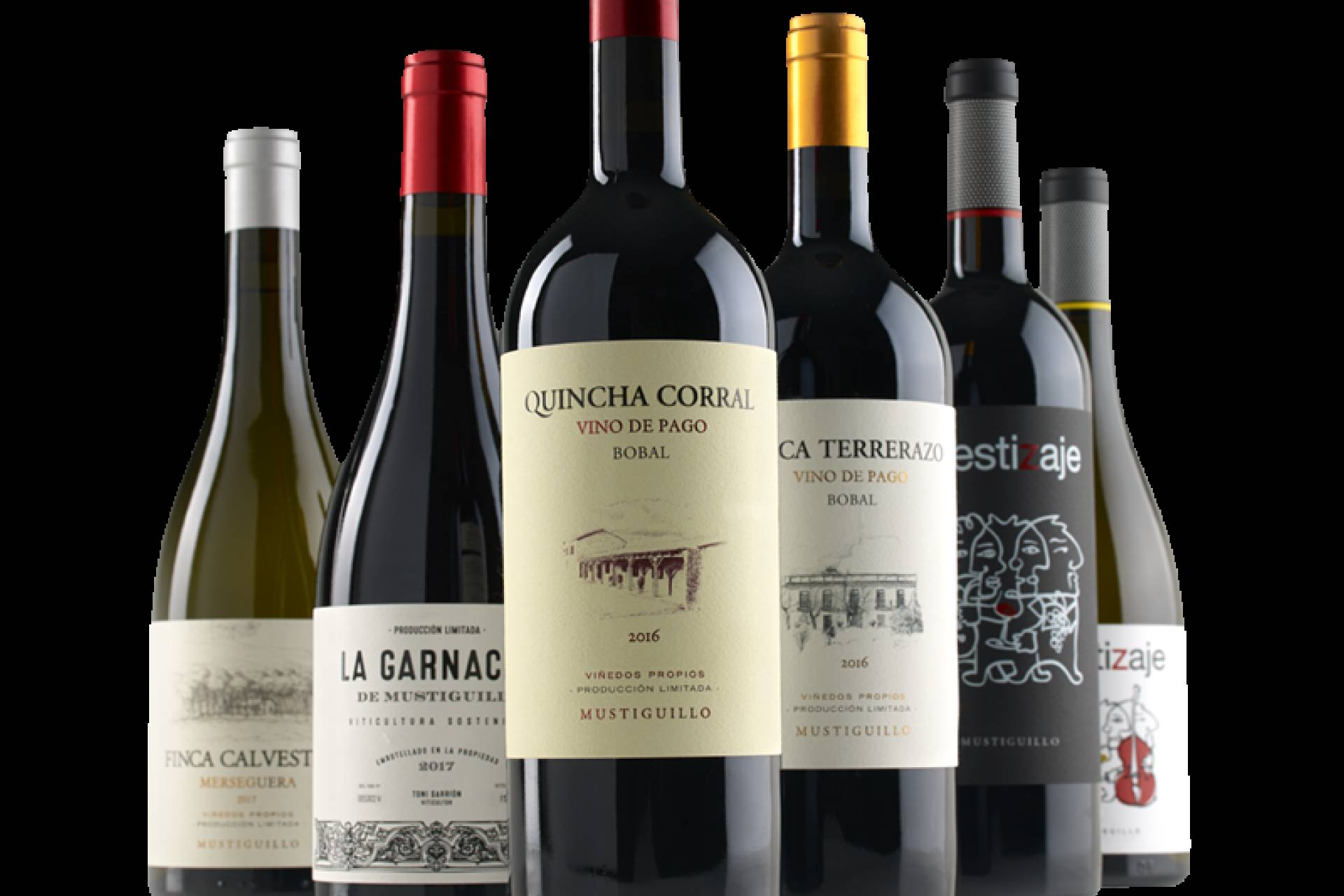Profesionales Casa del Vino impulsa la distribución de vinos de alta calidad en el sector HORECA