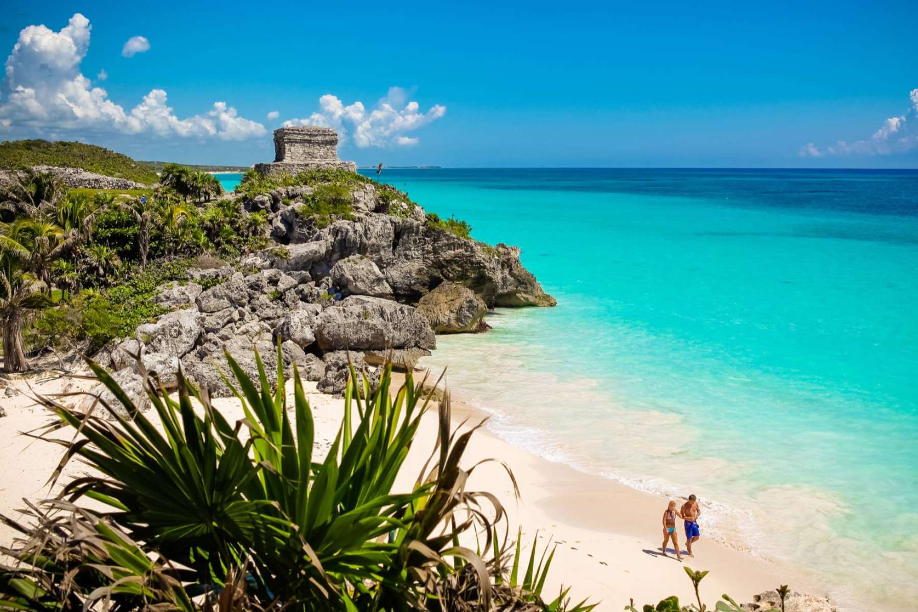 Gastronomía, Chill y Mesas VIP; Lo mejor de Tulum