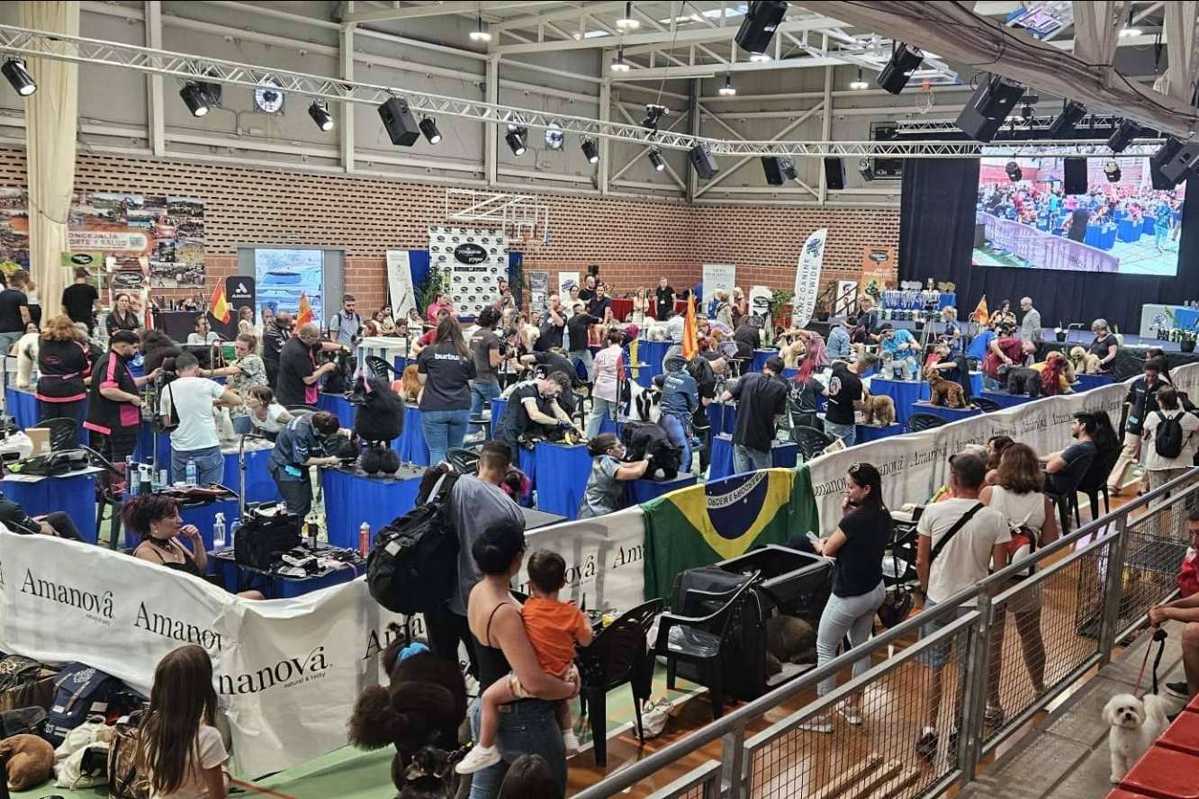 Murcia será sede del estilismo canino más top del mundo este octubre