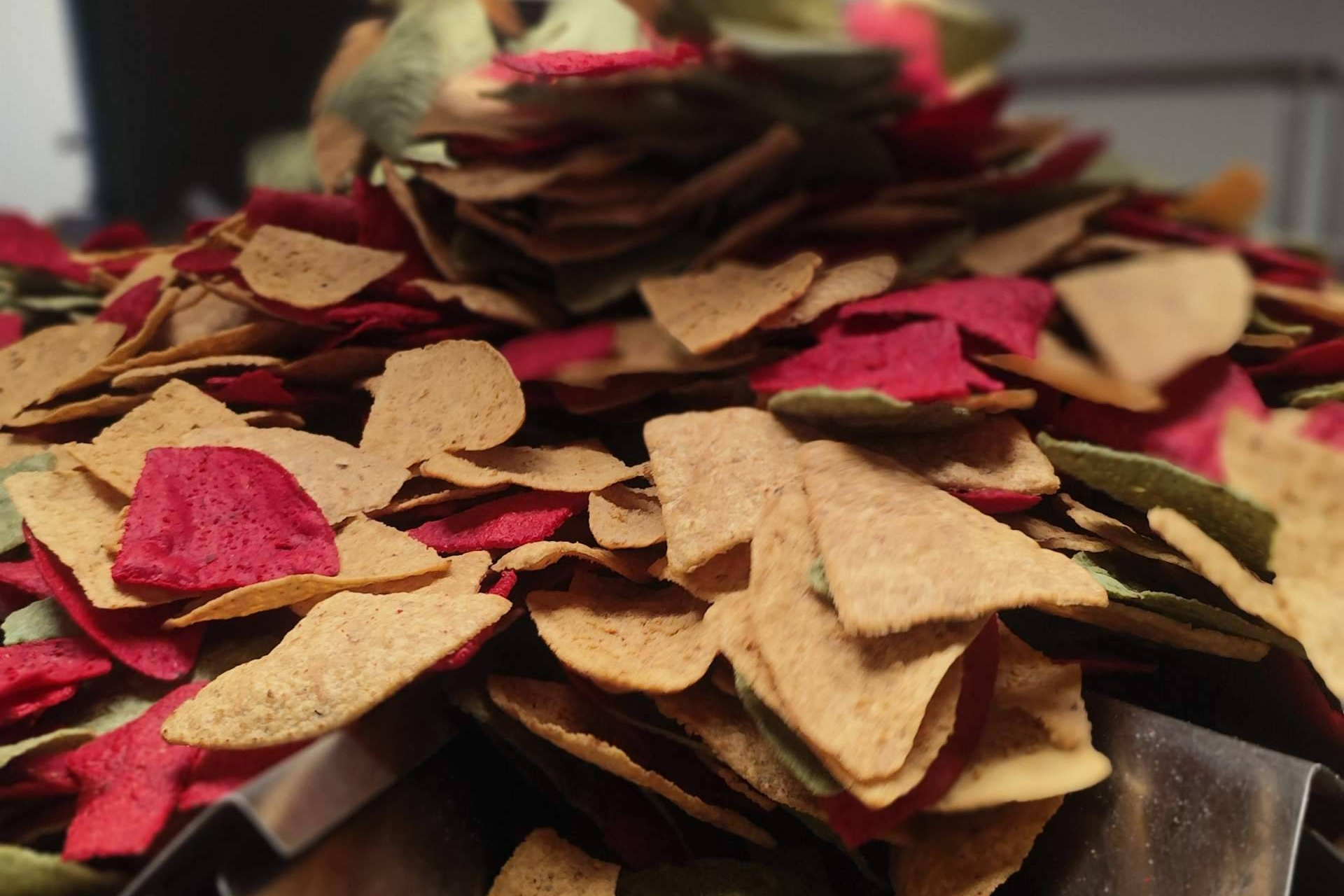 Totopos Tricolor Maíz Maya; el homenaje comestible al orgullo mexicano