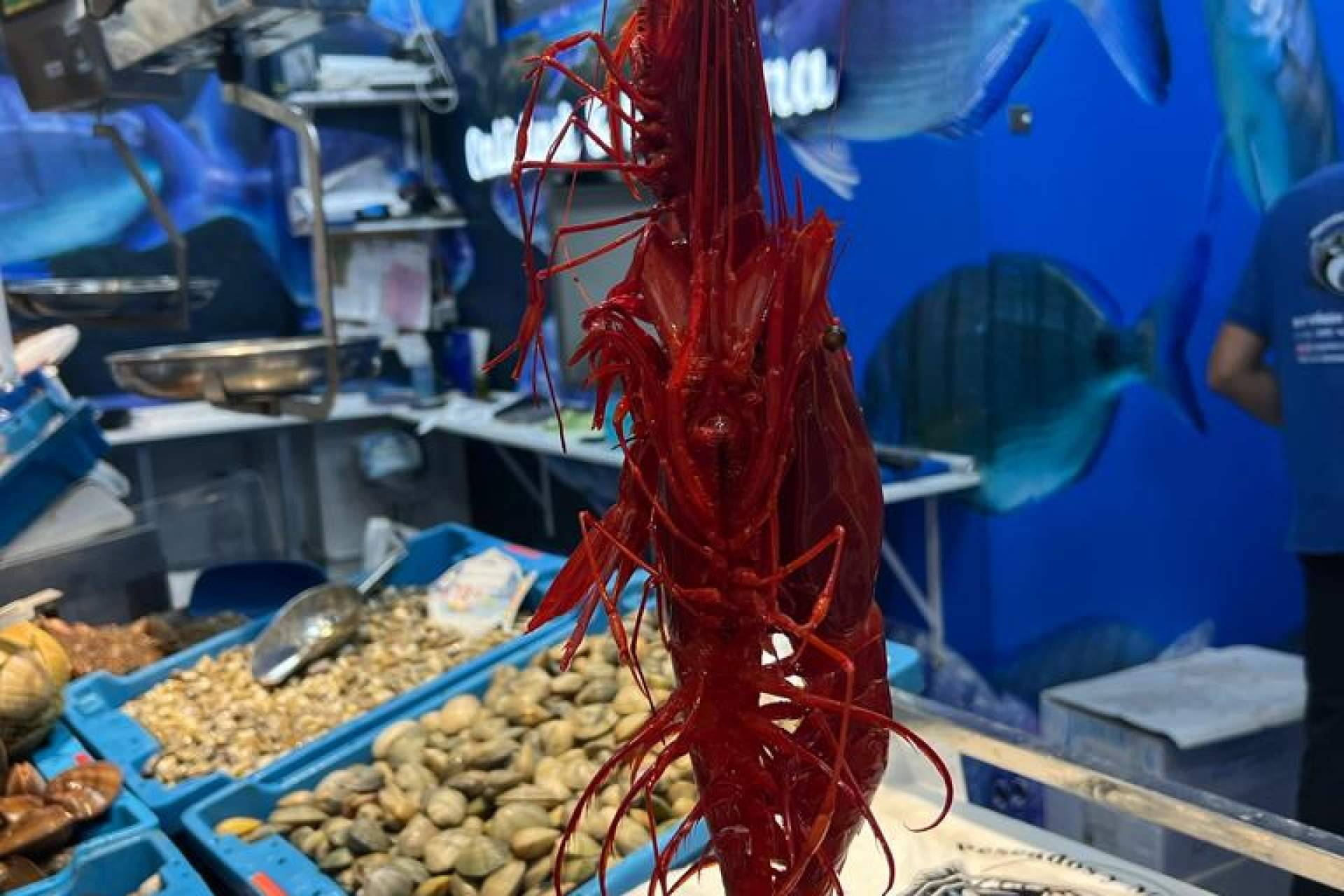 Pescadería Younes Ceuta consolida su servicio diario de mariscos frescos con gestión por WhatsApp