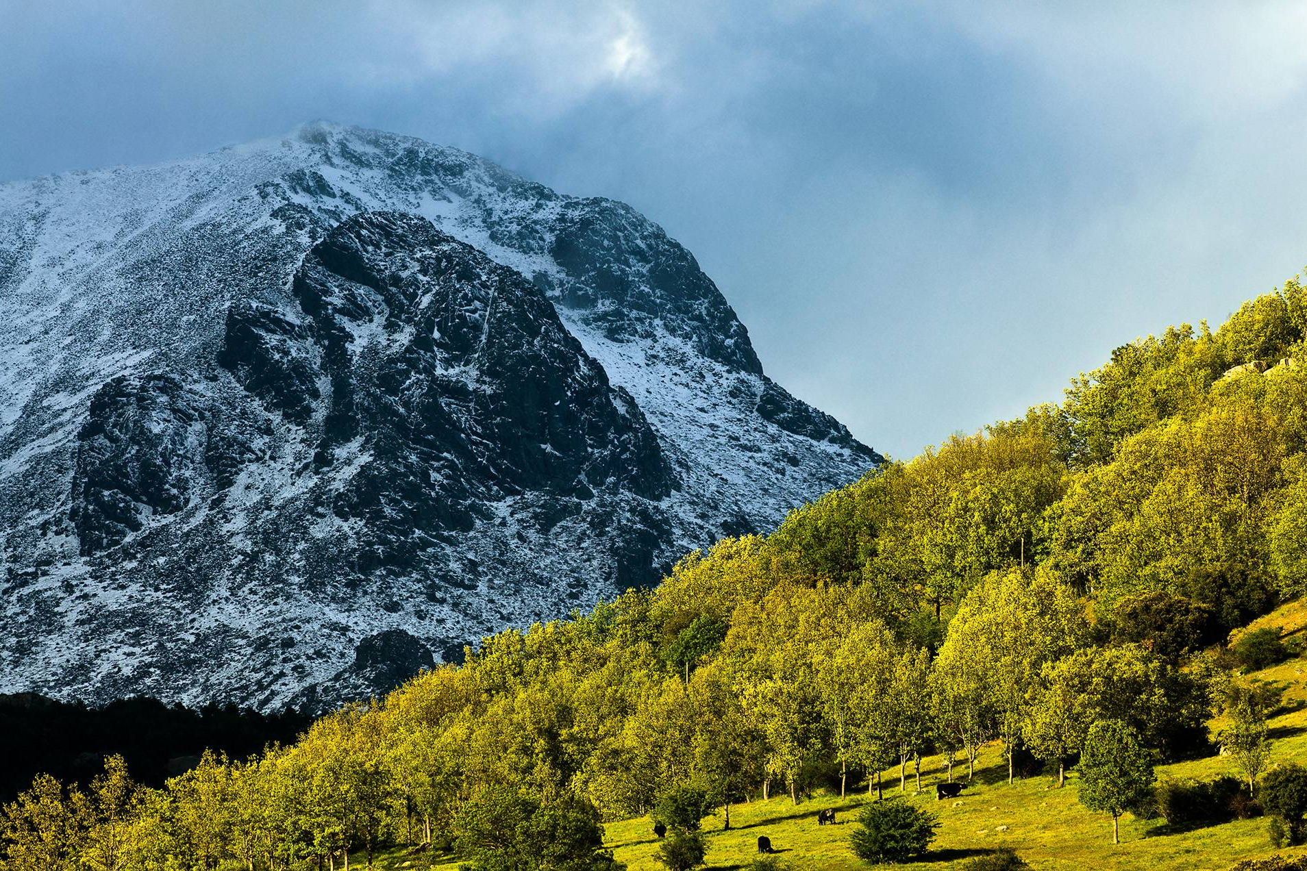 ADESGAM lanza 'La Sierra se cuida' para promover el turismo sostenible en la Sierra de Guadarrama