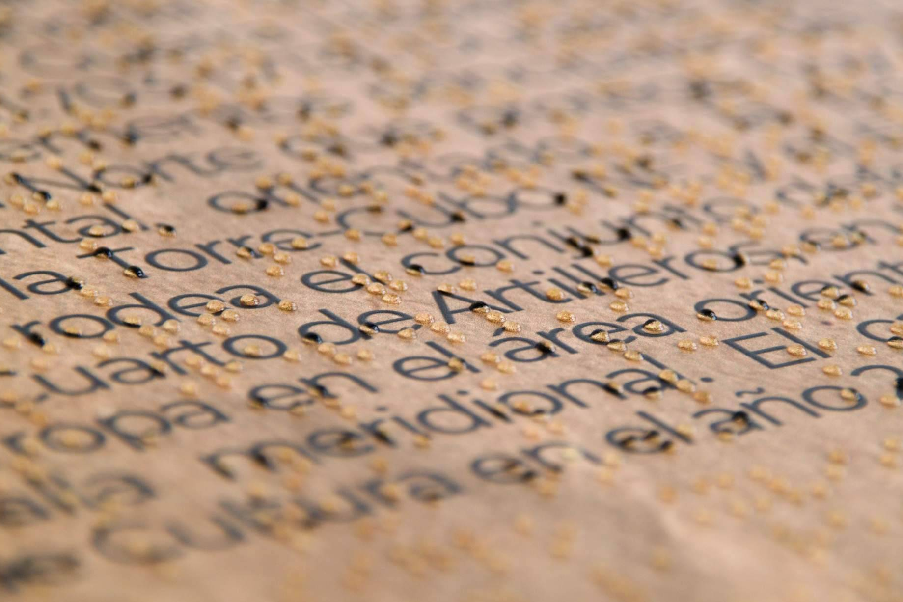 Soluciones de señalización inclusiva, Databraille aplica braille y altorrelieve para entornos accesibles
