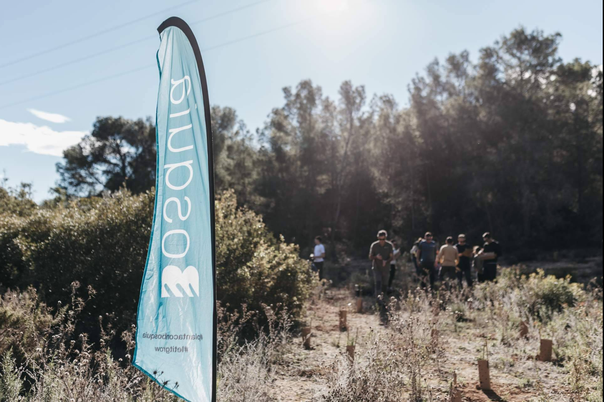 Bosquia avanza la reforestación de Pedralba con apoyo empresarial