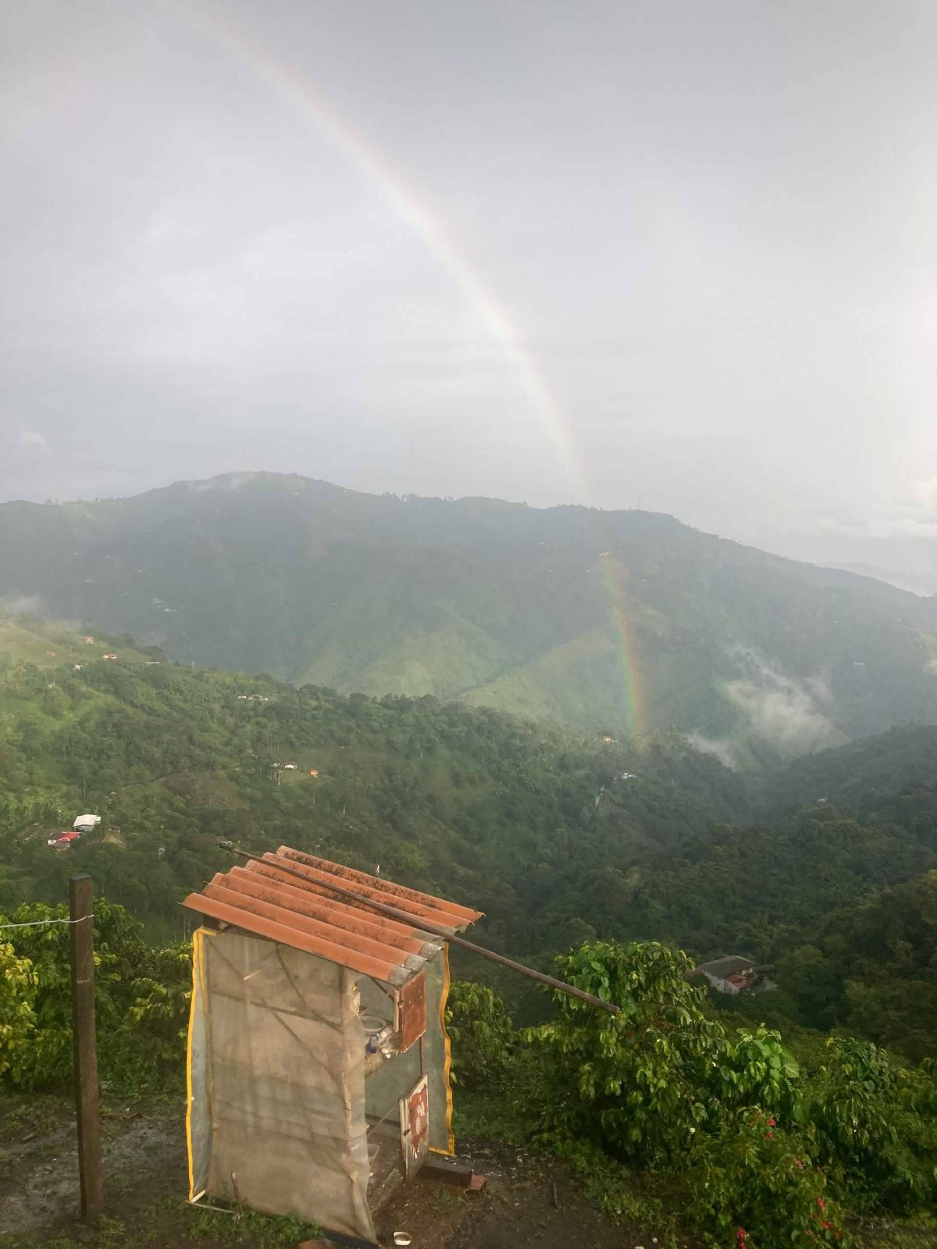 Mornoon Coffee refuerza su liderazgo en calidad y sostenibilidad con un doble viaje estratégico a Costa Rica y Colombia