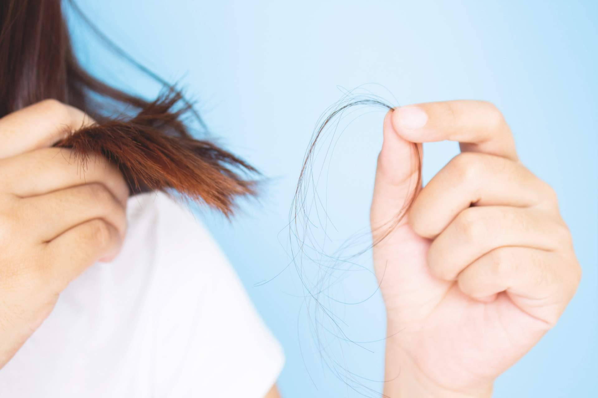 Cuidar el cabello en invierno nunca fue tan fácil