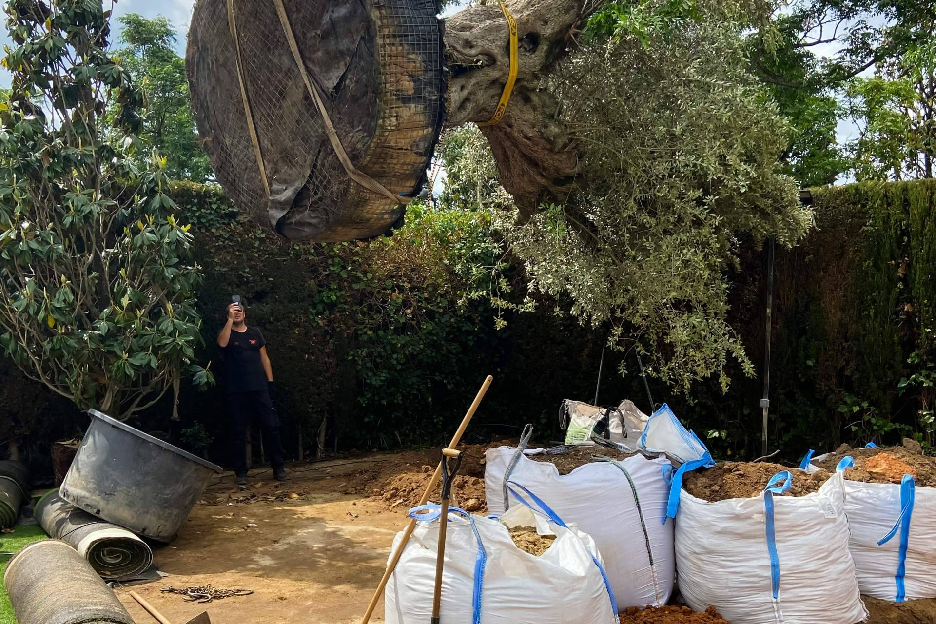 Cuando la naturaleza se diseña; la empresa de jardinería en Barcelona que está transformando espacios