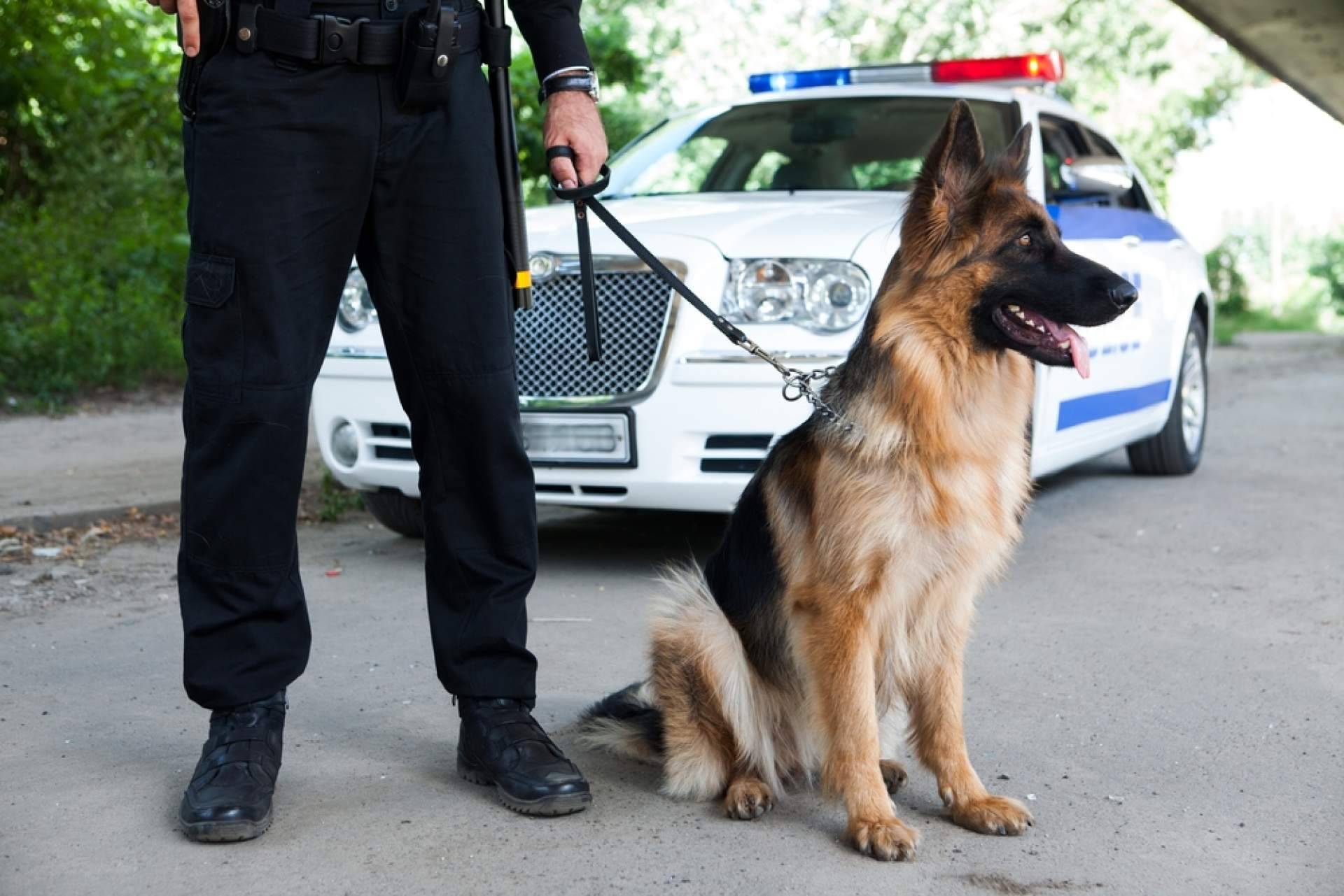 A2 de inglés y oposiciones a la Policía Nacional; claves para certificarlo
