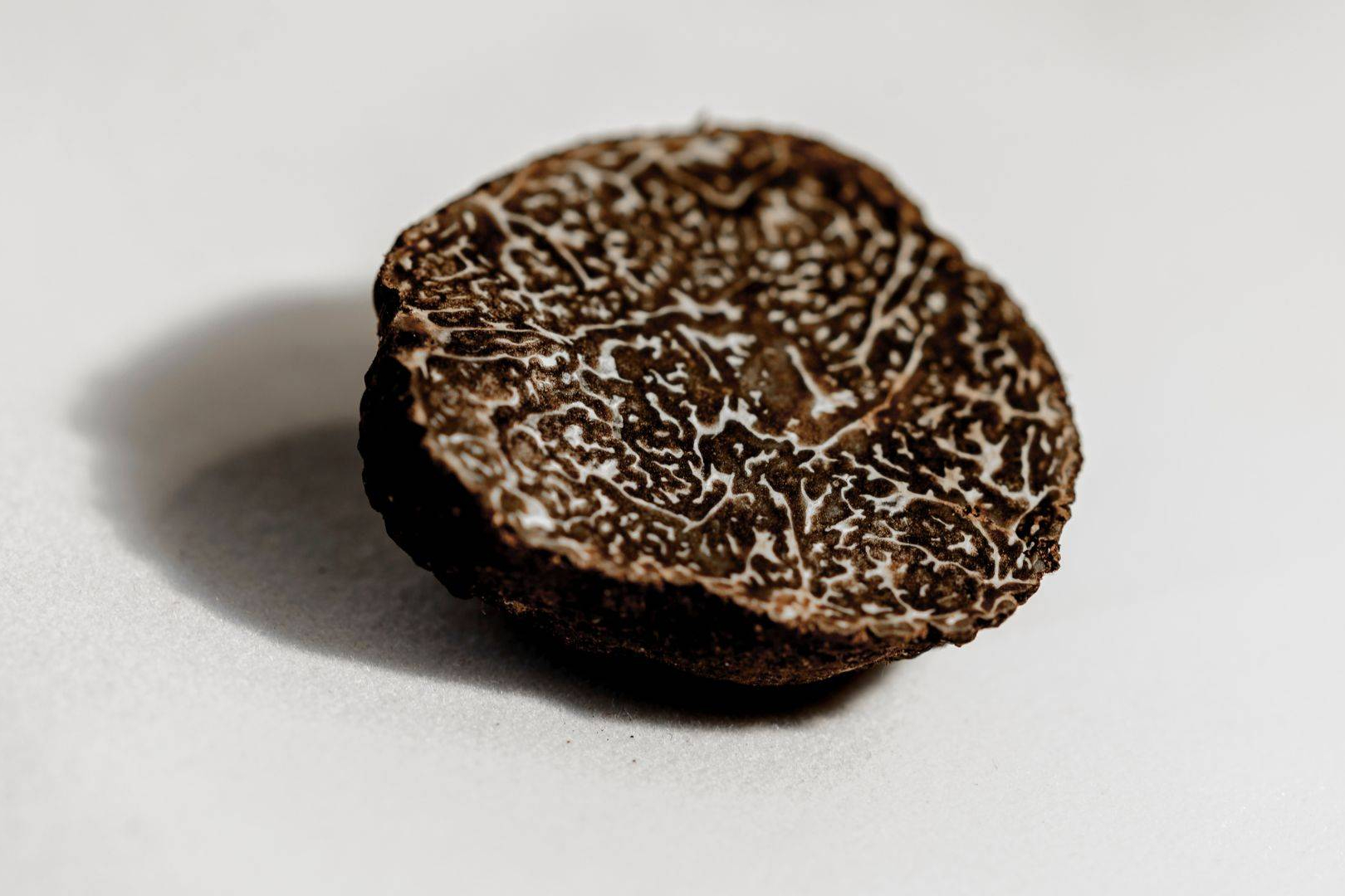 Plataformas como Sentidos Truferos acercan la trufa negra a todas las cocinas