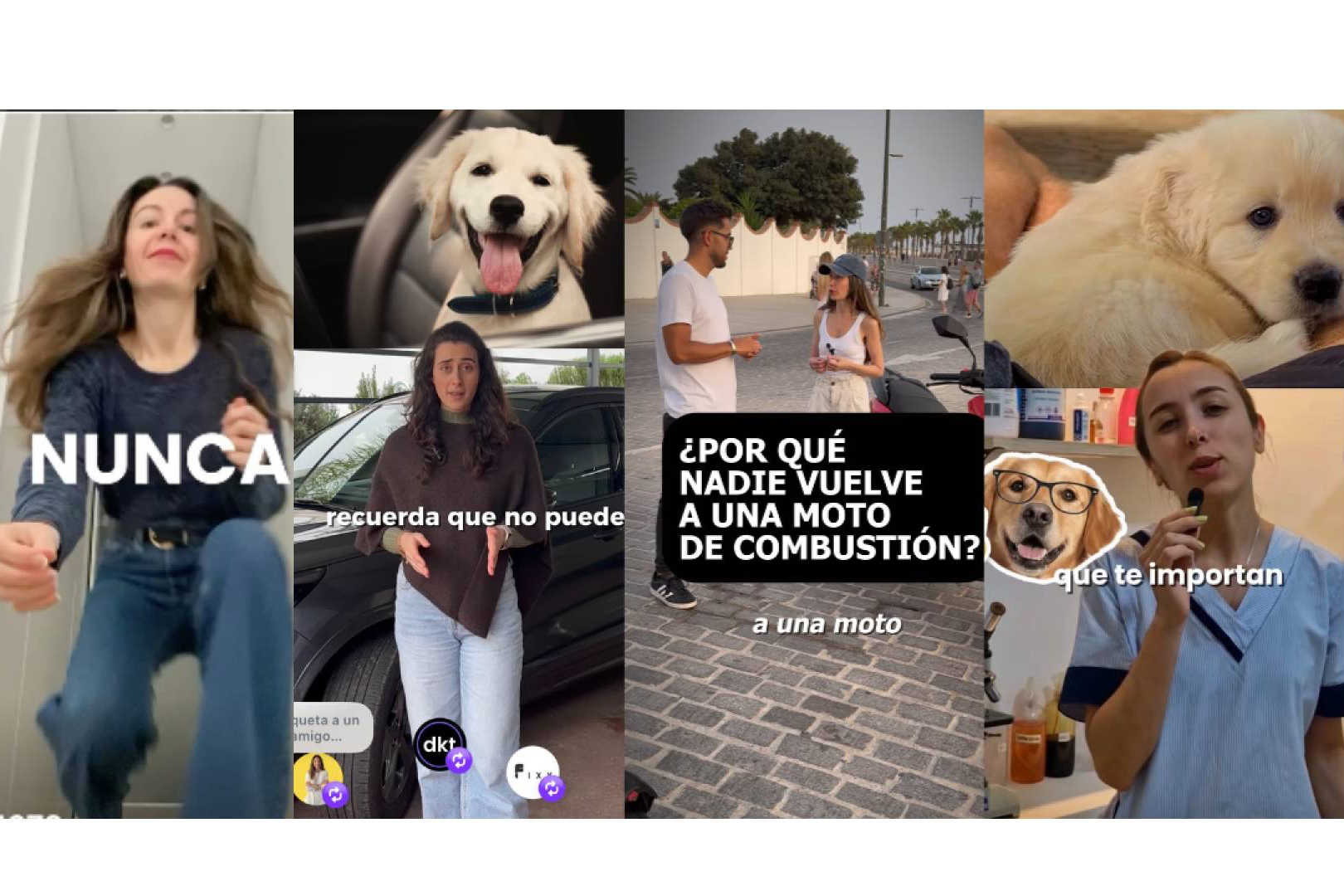 Los vídeos orgánicos en redes sociales se afianzan como motor de ventas para los negocios