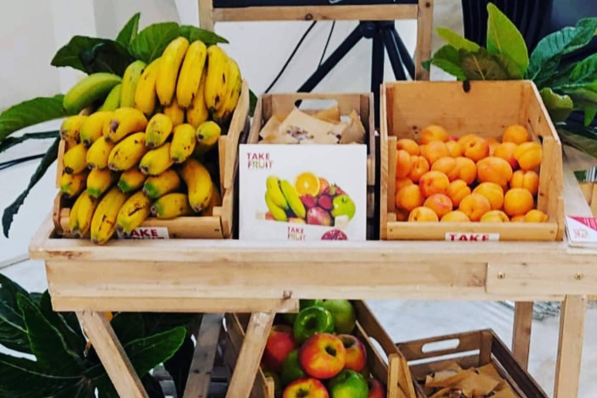 Take Fruit impulsa la fruta para empresas y oficinas como motor de bienestar laboral