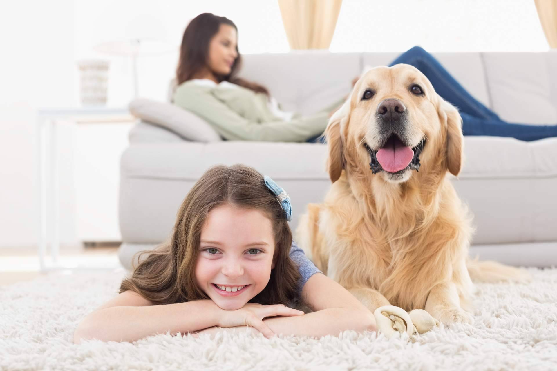 Mutuarisk regala una placa inteligente por la contratación del seguro de mascotas