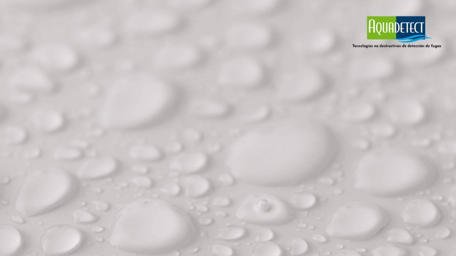 10 señales que indican que se tiene una fuga de agua oculta