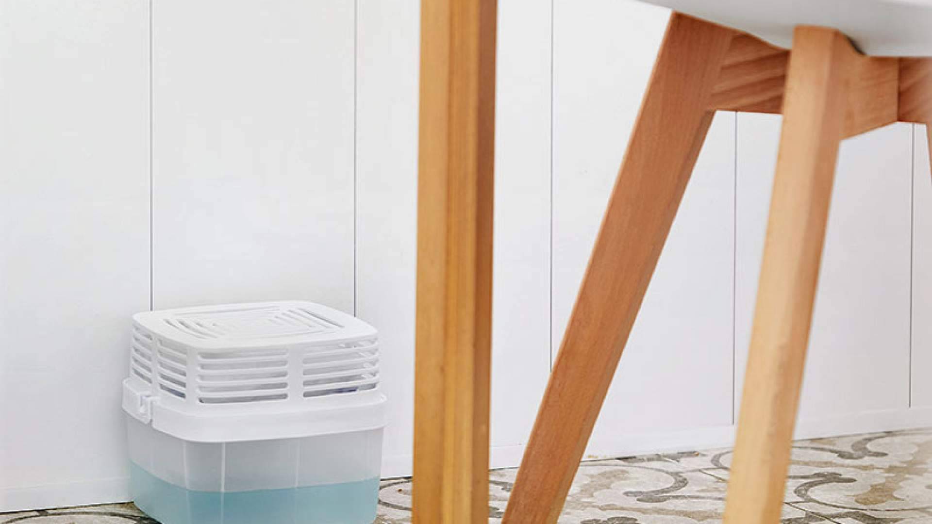 La humedad en verano; el problema invisible que afecta al confort en casa y dispara la sensación de calor