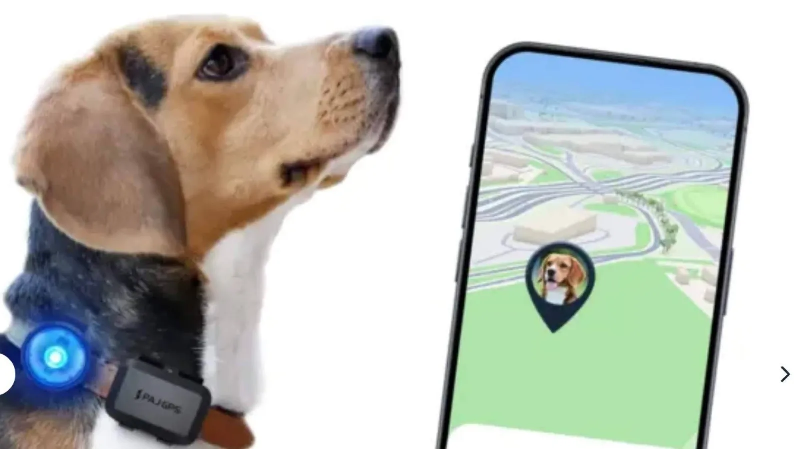 Localizador GPS para perros; el dispositivo ideal para mascotas aventureras